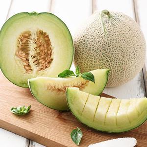 전남 곡성 유도열님의 머스크 멜론