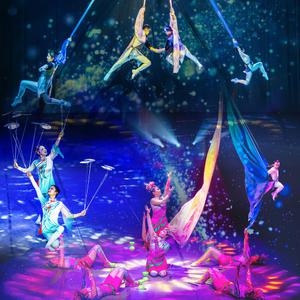 [제주] 아트서커스+ 혜택 (낙타트래킹 체험) (서커스월드/제주도공연/실내관광지/오토바이쇼)