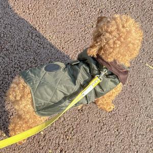 [바버] 강아지옷 퀼팅자켓 DCO0004