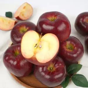 [참후레쉬]못생겨도 맛있는 보조개 피치애플 3kg (15입내/박스)