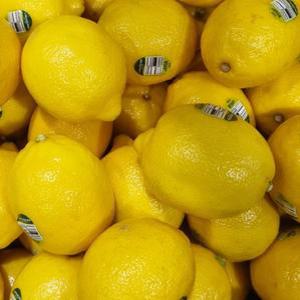 레몬특대과 팬시 레몬 특대과 10과 1.5kg내외 개당140~160g 팬시레몬