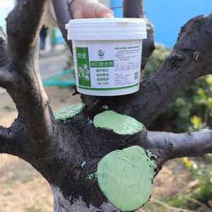 나무 상처 보호제 분재 코팅 치유 식물 수목 연고 도포제