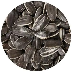 대형 해바라기씨 15kg 앵무새 햄스터 간식