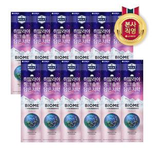 히말라야핑크솔트 바이옴 튜브치약 100g 12개