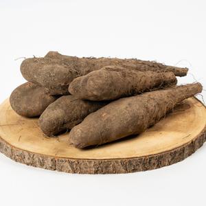 안동 참마 1kg 마사토 산마 장마 생마 안동마