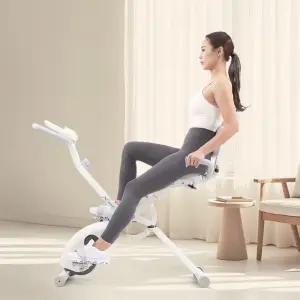 이고진 듀얼바이크 254 실내자전거 좌식 접이식 가정용 사이클 헬스 홈트 유산소 운동기구