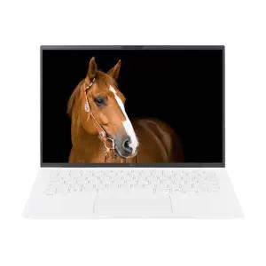 LG전자 LG그램 14Z90T-GA56K SSD 1TB 교체