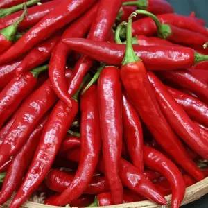 국내산 싱싱한 홍고추 특품 1kg   2kg   5kg  10kg