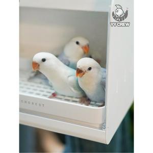 앵무새이동장 휴대용 저소음 육추기 보온 새장 산책 새 그린 손잡이형 1개 초록