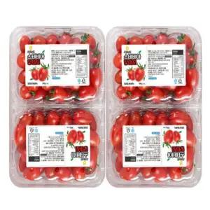 스테비아 단마토 레드 2kg (500g x 4팩)