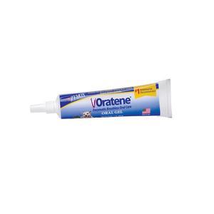 오라틴 메인터넌스 투스페이스트 겔 치약 70g 강아지 반려견