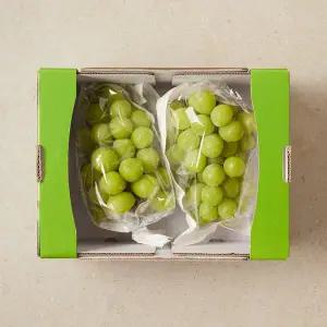 고당도 샤인머스켓 1.5kg 박스