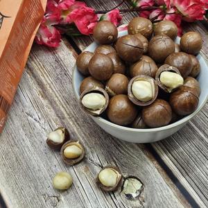 까먹는 통마카다미아 25년 햇 베트남 마카다미아 500g