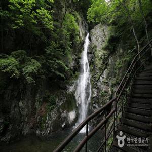 [KTX+영주관광택시]힐링 영주! 소백산국립공원+부석사+무섬마을