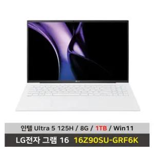 LG전자 그램 16 노트북 16Z90SU-GRF6K Ultra5 SSD 1TB교체 RAM 8G 한컴+무선마우스+패드 KW