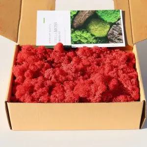 모나코플라워 스텔라 모스이끼 0301 불꽃레드) 200g 자재
