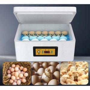 병아리 조류 대용량 실험실 220V 파충류 6구 만들기 키우기 16L 챔버 혼합기