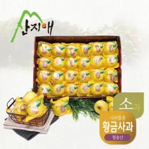 씻어나온 어린이 골드 꿀사과 5kg 1box   청송산 시나노골드  당도선별