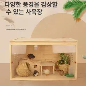 햄스터 집 골든햄스터 케이지 기니피그 놀이터 아크릴 원목