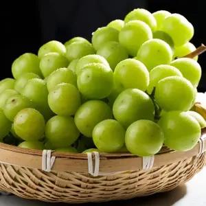 알알이 톡톡 고당도 샤인머스켓 실중량 4kg 3-5수