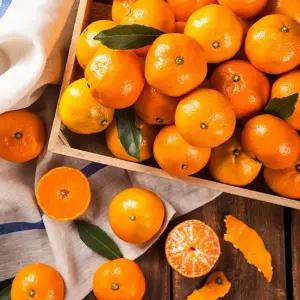 제주직송 감귤 실중량 10kg 대과(2L)