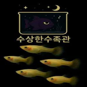 [수상한수족관] [ 구피 ] 옐로우 구피 암컷10마리세트 / 10마리 / 랜덤발송