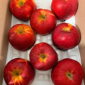 국내산 제철과일 엔부 사과 피치애플 3kg 로얄과(대과)