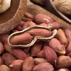 [자연맛남]국내산 고소한 피땅콩 2kg