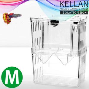 켈란 부화통 M /수족관 어항 수조 치어 산란 구피 열대어 플래티 새끼 난태생 격리통 치어망 관상어 테트라