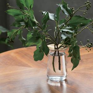 [킨토] 루나 화병 80x130mm (투명)