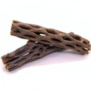 어항장식 세틀 초야우드 (선인장 유목) M [길이 15cm] 2개