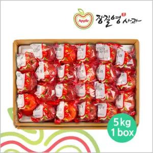 [장길영사과] 세척사과 5kg(17~27과)