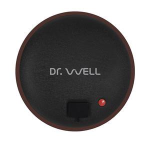 닥터웰 웰스톤 돌찜질기 DR-175 배찜질