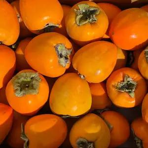 대봉감 15kg 35-40과내 특대(이단 안전포장)