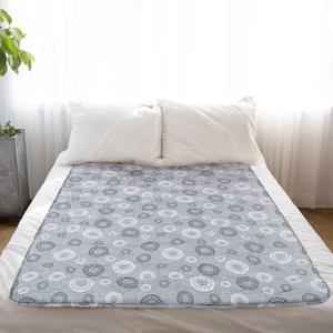 대진전자/프리미엄전기요/더블/15시간타이머/국내생산