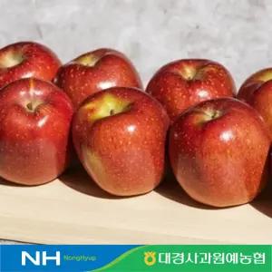 [대경사과원예농협]고당도 문경 감홍 3kg 6-10과 대과