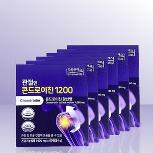 주영엔에스 관절엔 콘드로이친 1200 900mg x 60정 x 6개 / IBY