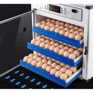 병아리육추기 병아리 계란 곰 부화기 알 달걀 케이지 닭 소형 유정란 부화 인큐베이터 단일