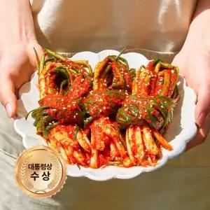 [대통령상수상] 당일제조 전라도 파김치 2kg