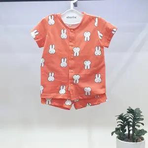 미피반소상내의 AYB10311