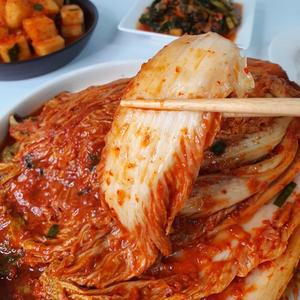 건채담 포기김치 10kg