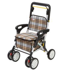 코리아케어 할머니 어르신 노인 보행보조기 성인보행기 이중바퀴형 워커 KCS-303