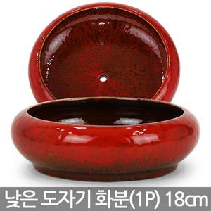 세인화분 낮은 유약 도자기 화분 1P- 다육 다육이