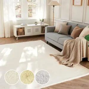 부드러운 극세사 인조 토끼털 거실러그 사계절 카페트 200X350