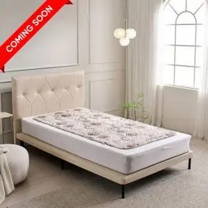 [출시]일월 25년 겨울 신형 시그니처 카본매트