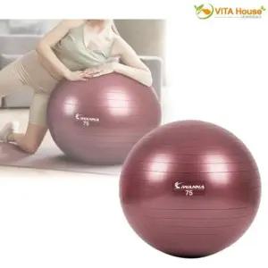 VT-LA 안티버스트 파스텔 짐볼 75cm 루비와인