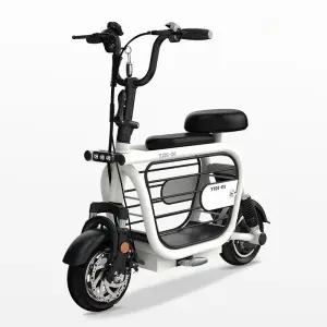 미니 전동스쿠터 여성용 2인용 반려견 반려묘 애견 강아지 전기 스쿠터 보관함