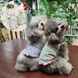 고품질 강아지 외출복 산책옷 실내옷 체리무늬 나시티 S~2XL (WFF2DC1)
