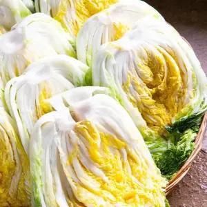 도착일 지정 HACCP 해남절임배추 20kg 김장 절임 배추 김치