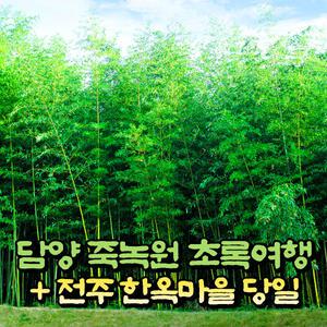 |전남| 담양 죽녹원(대나무축제)+메타세쿼이아 가로수길+전주 한옥마을 당일여행 /국내여행/ 서울경기出